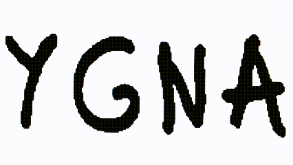 YgnA